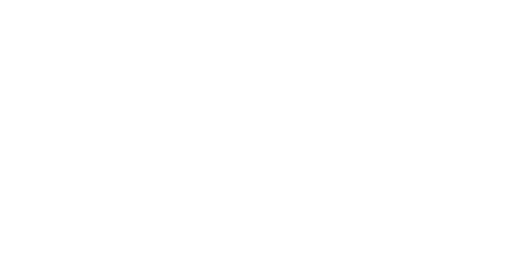 VSE